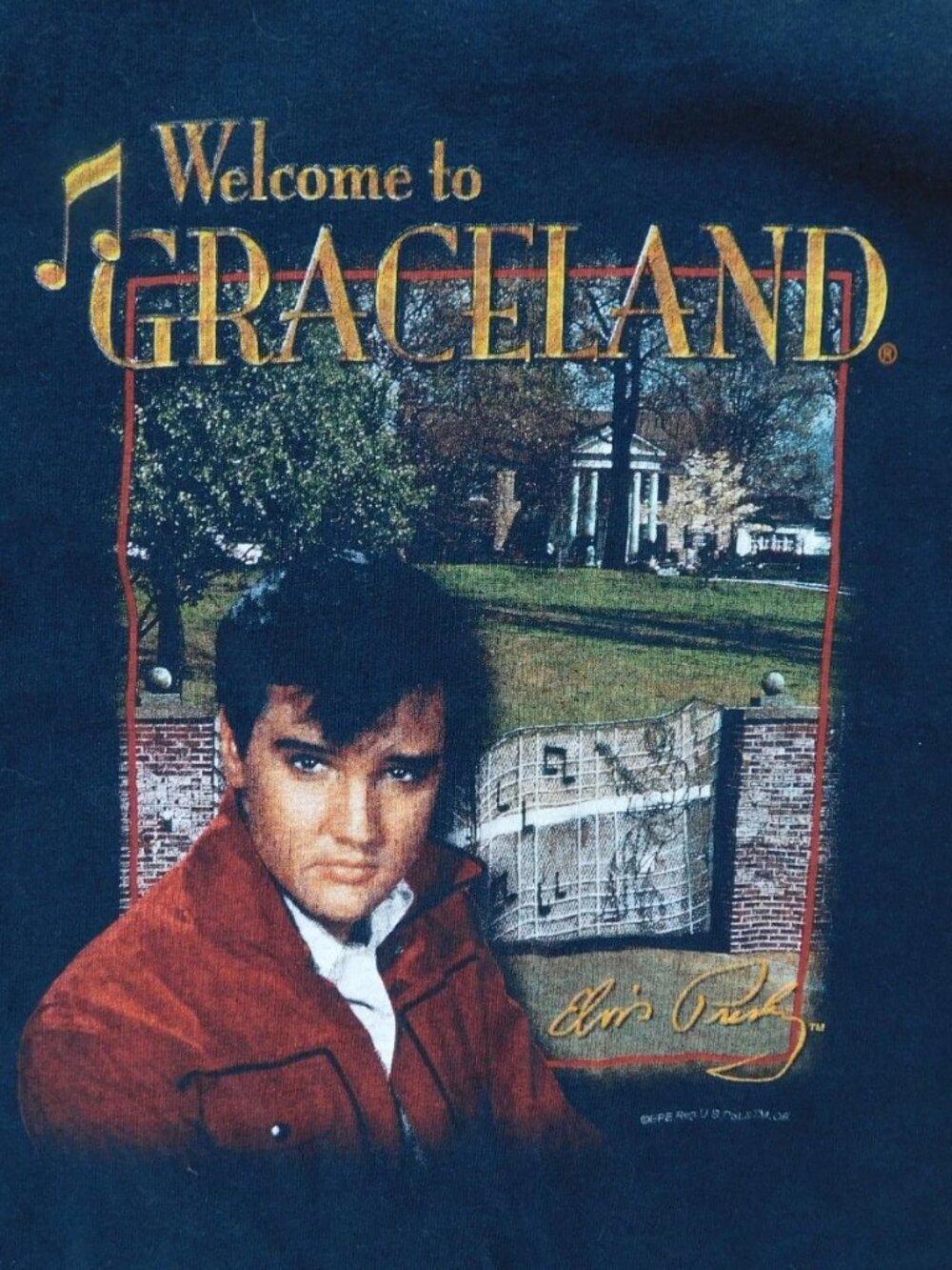 Boys Girls GRACELAND VINTAGE ELIVS PRESLEY Size Small T Shirt